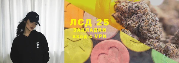 ECSTASY Пересвет