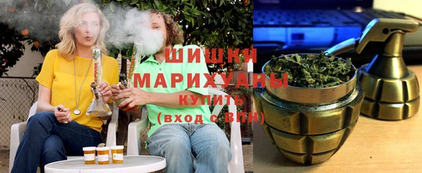 ECSTASY Пересвет