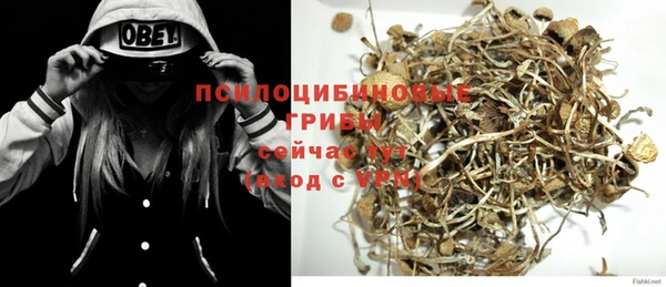 ECSTASY Пересвет