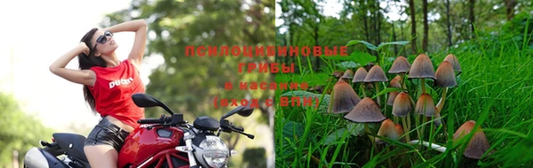 ECSTASY Пересвет
