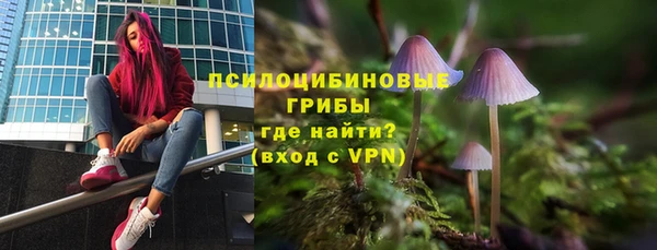 ECSTASY Пересвет